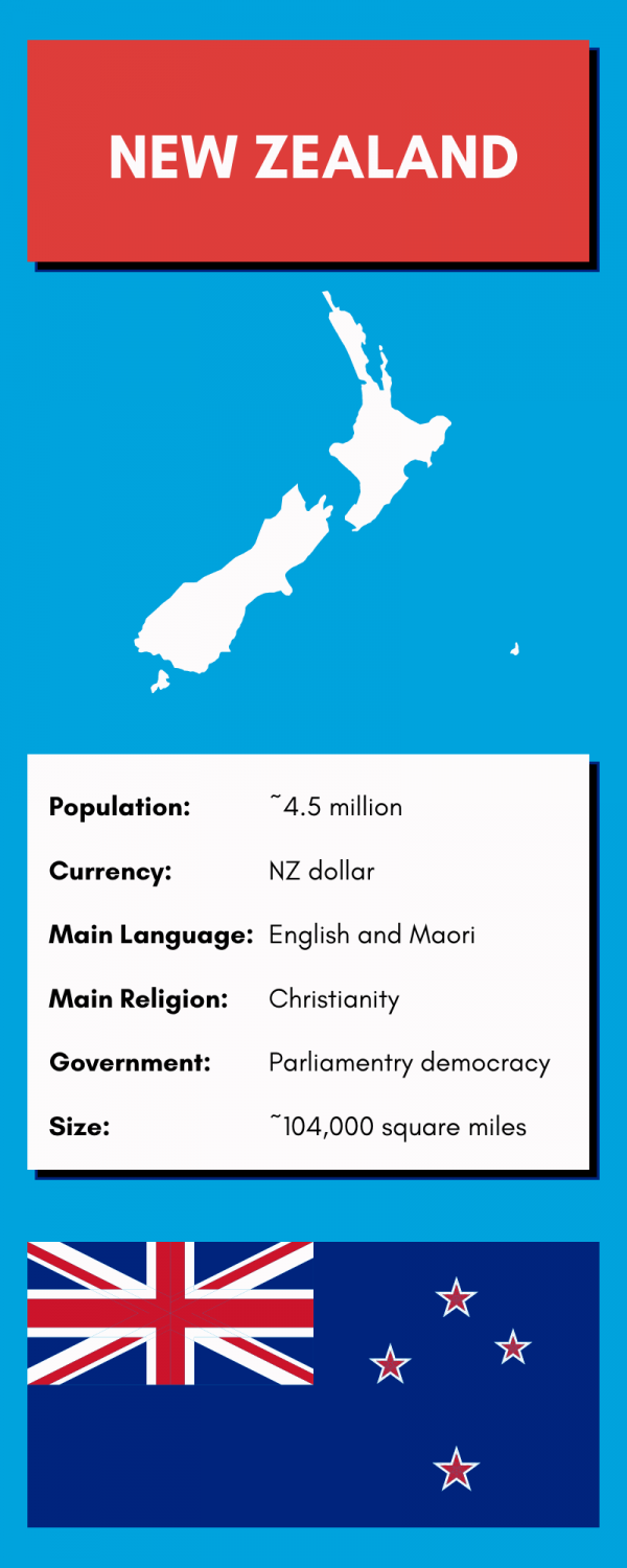 Best Guide to Driving In New Zealand Road Rules & Advice